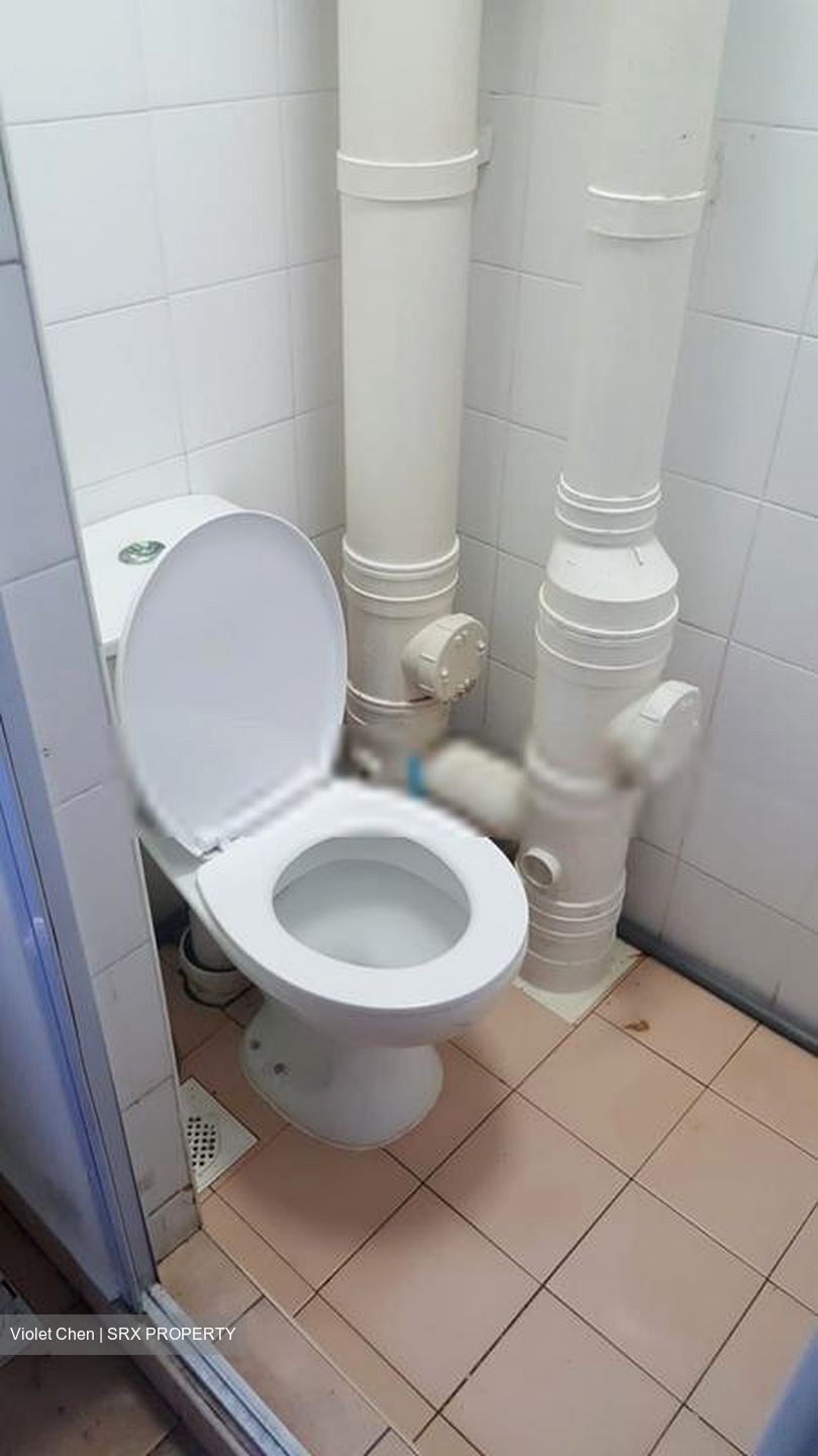 Blk 100 Crescent View (Queenstown), HDB 3 Rooms #415111371